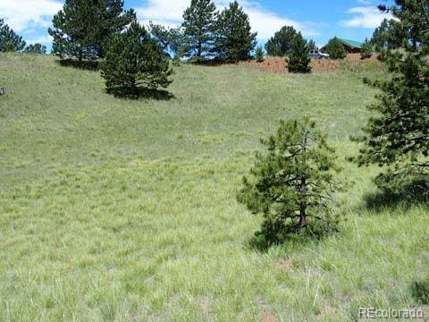 172 Cortez Pl, Cripple Creek, CO 80813 - photo 2