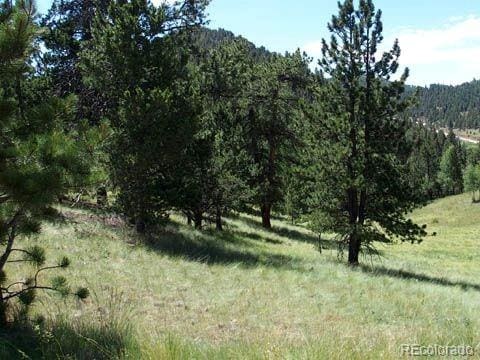 172 Cortez Pl, Cripple Creek, CO 80813 - photo 3