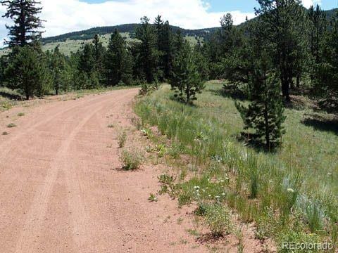 172 Cortez Pl, Cripple Creek, CO 80813 - photo 4