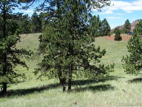 172 Cortez Pl, Cripple Creek, CO 80813 - photo 5