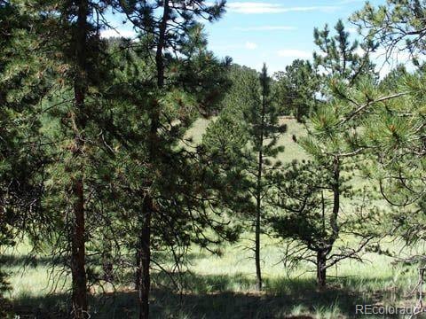 172 Cortez Pl, Cripple Creek, CO 80813 - photo 6
