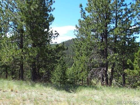 172 Cortez Pl, Cripple Creek, CO 80813 - photo 7