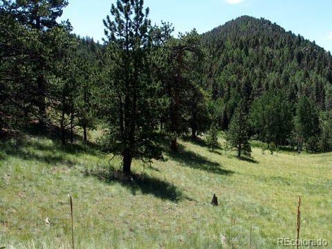 172 Cortez Pl, Cripple Creek, CO 80813 - photo 8