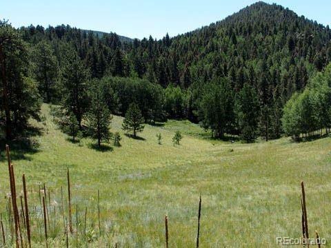 172 Cortez Pl, Cripple Creek, CO 80813 - photo 9