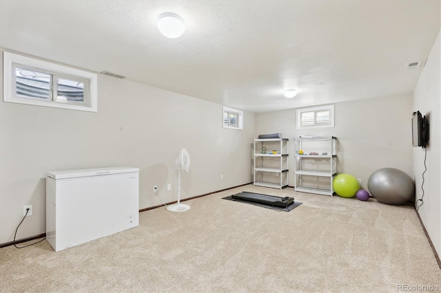 13266 Canopus Dr, Lone Tree, CO 80124 - exercise room featuring carpet and baseboards