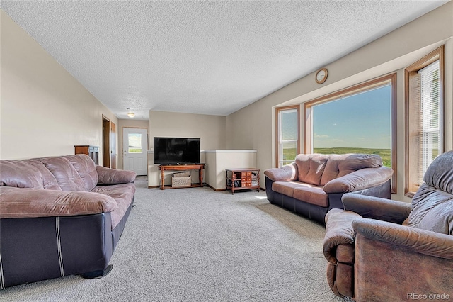 21494 Way Of Peace, Deer Trail, CO 80105 - carpeted living area with healthy amount of natural light and a textured ceiling