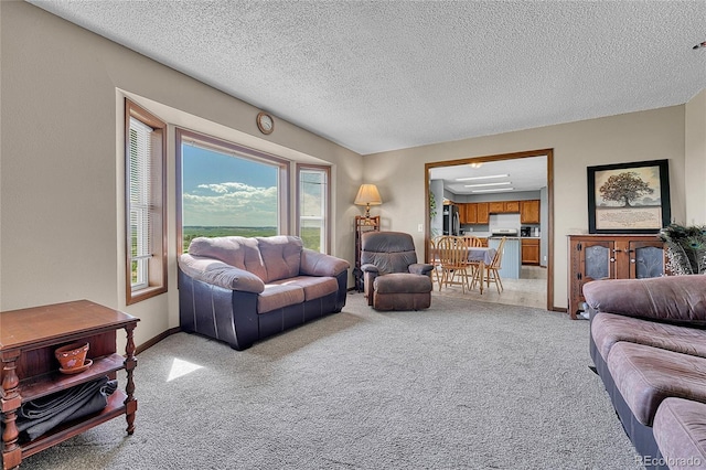 21494 Way Of Peace, Deer Trail, CO 80105 - living area featuring light carpet and a textured ceiling