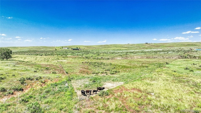 21494 Way Of Peace, Deer Trail, CO 80105 - view of undeveloped land featuring rural landscape