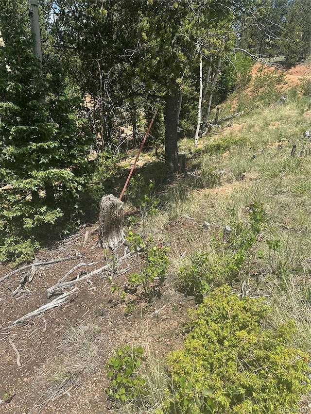 110 Brown Bear Ln, Cripple Creek, CO 80813