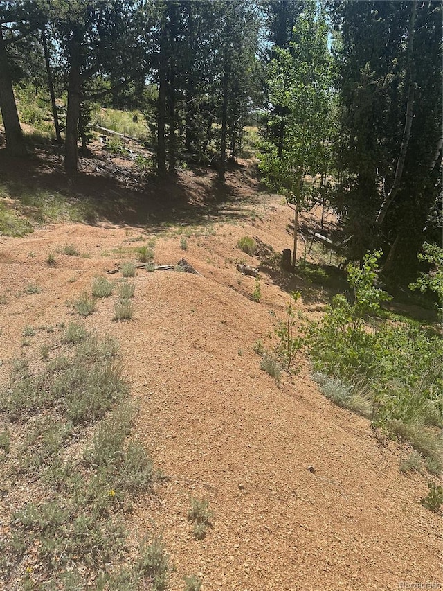 110 Brown Bear Ln, Cripple Creek, CO 80813