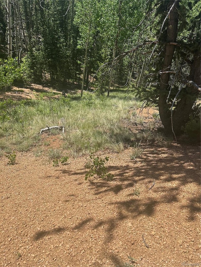 110 Brown Bear Ln, Cripple Creek, CO 80813