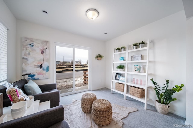 sitting room with carpet flooring