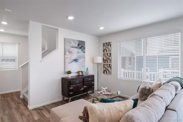 living room with wood-type flooring