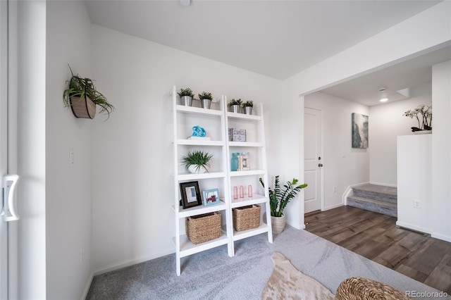 living area with dark hardwood / wood-style floors