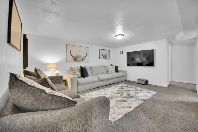 61 S 17th Avdr, Brighton, CO 80601 - photo 15