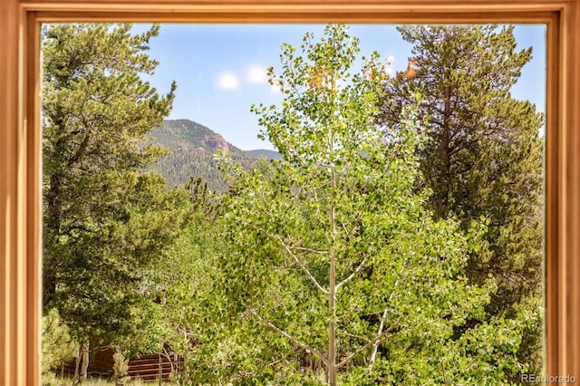 142 Summit Way, Bailey, CO 80421 - view of mountain background
