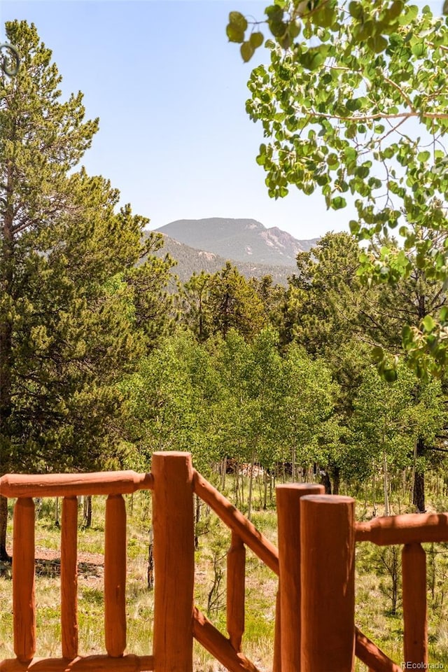 142 Summit Way, Bailey, CO 80421 - view of mountain background