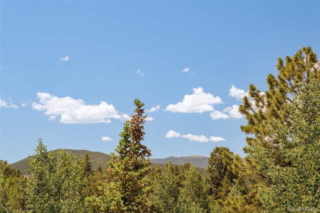 142 Summit Way, Bailey, CO 80421 - mountain view featuring a forest