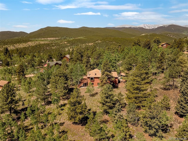 142 Summit Way, Bailey, CO 80421 - view of subject property with a mountain backdrop and a forest
