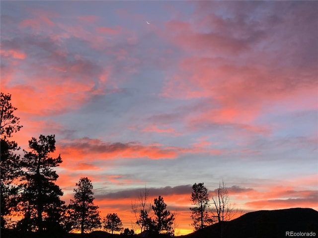 381 Highlands Dr, Bailey, CO 80421 - view of nature at dusk