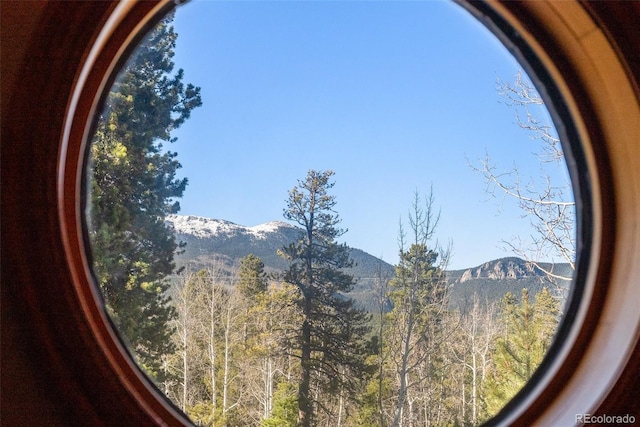 381 Highlands Dr, Bailey, CO 80421 - room details featuring a mountain view and a forest view