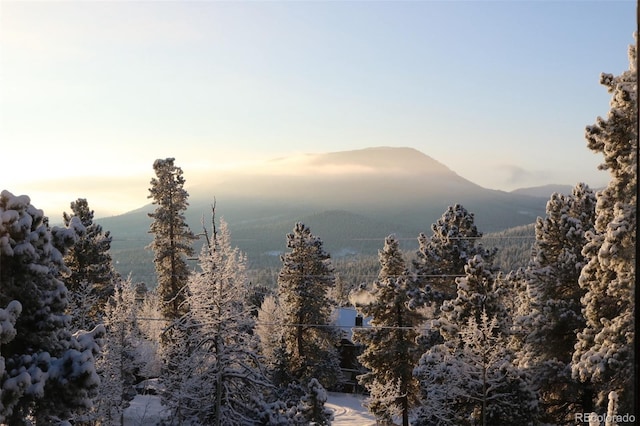 381 Highlands Dr, Bailey, CO 80421 - view of mountain feature with a wooded view