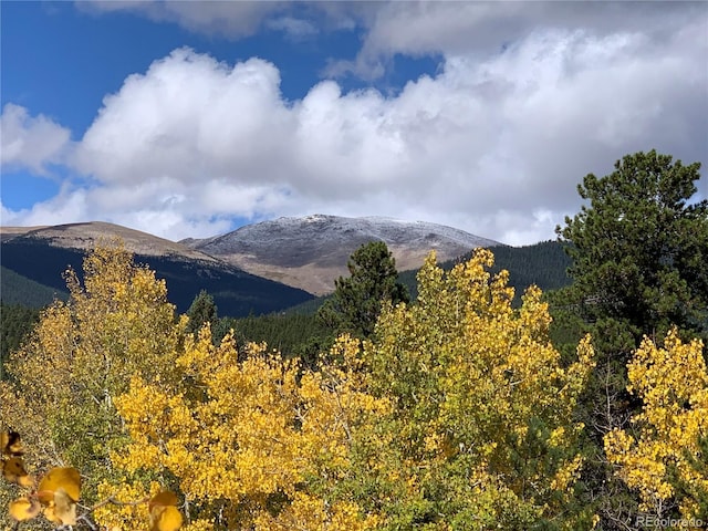 381 Highlands Dr, Bailey, CO 80421 - mountain view