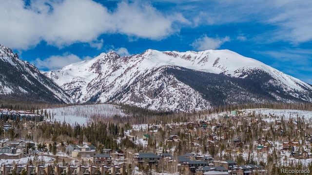 8028 Ryan Gulch Rd Unit D-1, Silverthorne, CO 80498 - photo 33