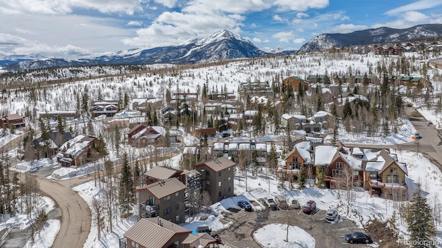 8028 Ryan Gulch Rd Unit D-1, Silverthorne, CO 80498 - photo 47