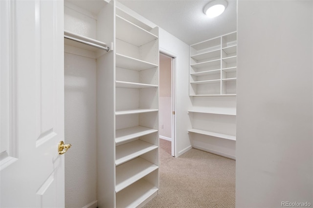 spacious closet with carpet flooring