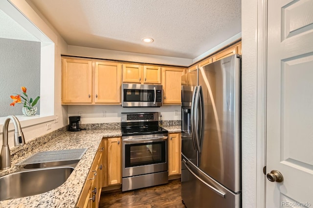 812 Dove Ave, Brighton, CO 80601 - photo 11