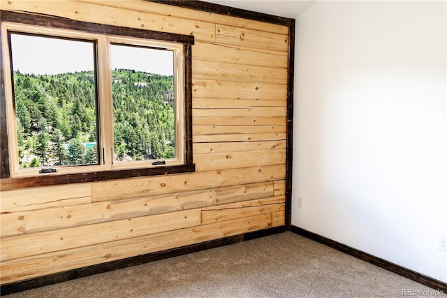 spare room with wood walls and carpet flooring