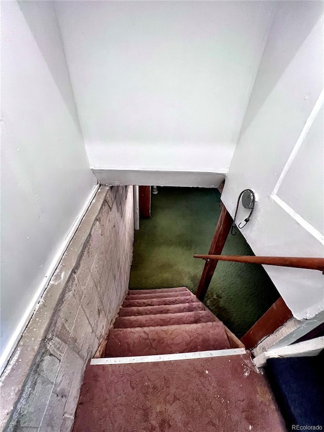 stairway featuring carpet flooring