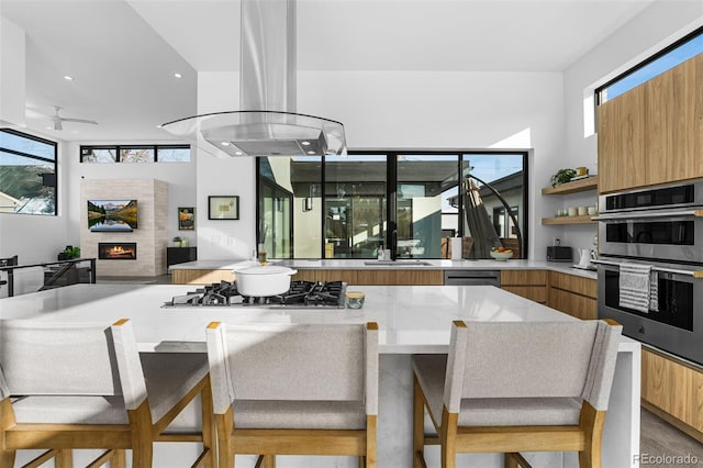 kitchen with island exhaust hood, modern cabinets, and appliances with stainless steel finishes