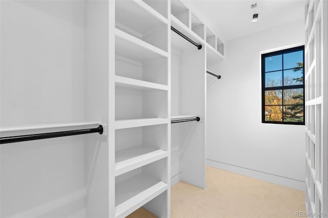 spacious closet with light carpet