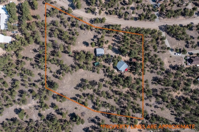 16530 Mt Princeton Rd, Buena Vista, CO 81211 - photo 3