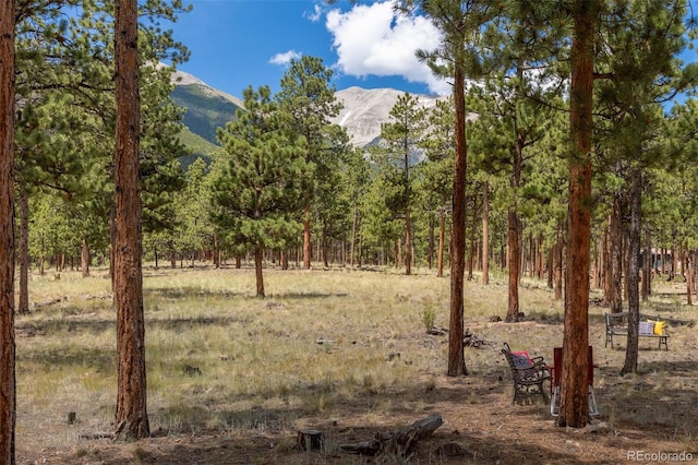 16530 Mt Princeton Rd, Buena Vista, CO 81211 - photo 15