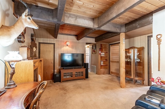 16530 Mt Princeton Rd, Buena Vista, CO 81211 - photo 16