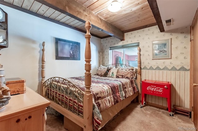 16530 Mt Princeton Rd, Buena Vista, CO 81211 - photo 18