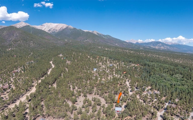 16530 Mt Princeton Rd, Buena Vista, CO 81211 - photo 37