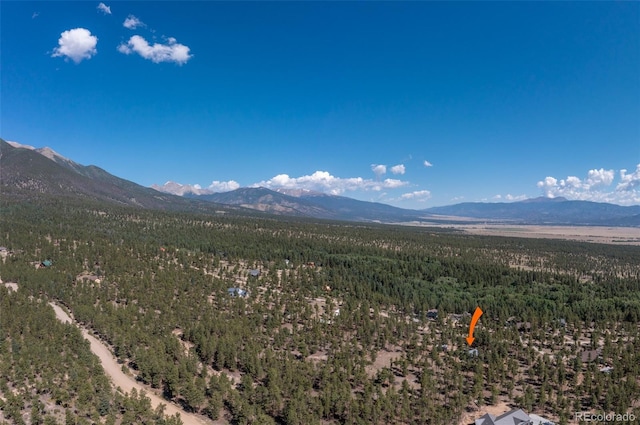 16530 Mt Princeton Rd, Buena Vista, CO 81211 - photo 38