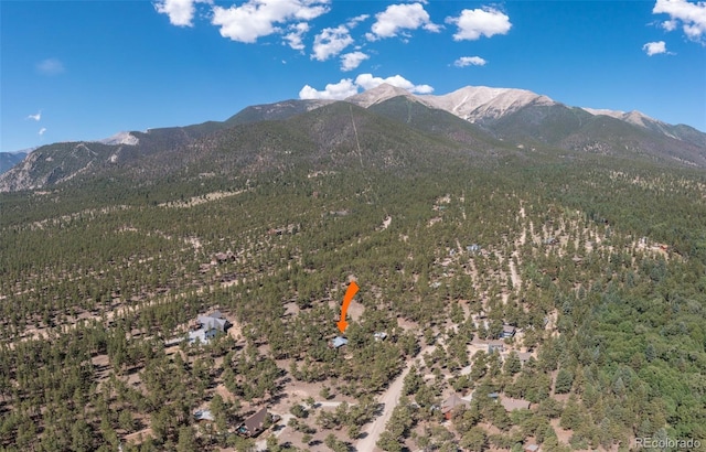 16530 Mt Princeton Rd, Buena Vista, CO 81211 - photo 39