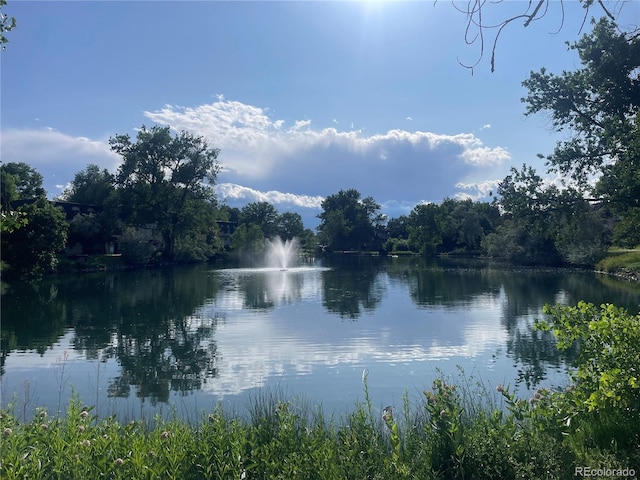 309 E Highline Cir Unit 104, Centennial, CO 80122 - water view featuring a forest