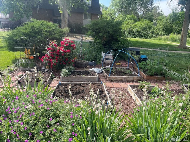 309 E Highline Cir Unit 104, Centennial, CO 80122 - view of green lawn with a vegetable garden