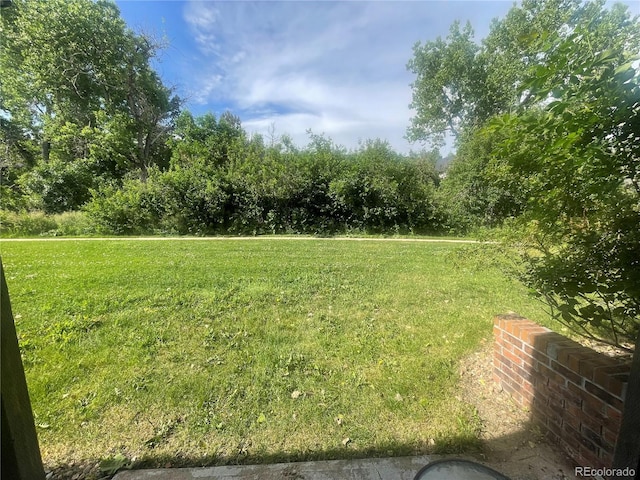 309 E Highline Cir Unit 104, Centennial, CO 80122 - view of green lawn