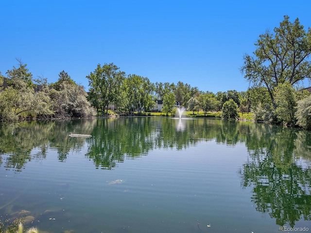 309 E Highline Cir Unit 104, Centennial, CO 80122 - water view