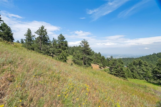 000 Parkview Ave, Golden, CO 80401
