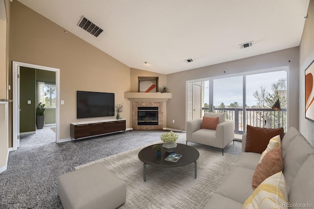 7415 S Alkire St Unit 302, Littleton, CO 80127 - living room with carpet, lofted ceiling, baseboards, and a fireplace