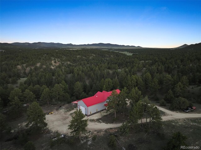 1255 Quanah Rd, Westcliffe, CO 81252 - photo 37