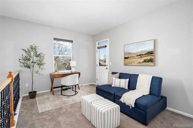 sitting room with carpet flooring